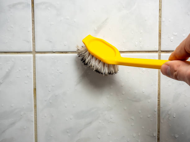 Best Same-Day Mold Removal  in Schlusser, PA