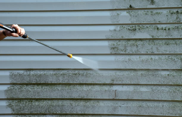 Best Local Mold Removal Service  in Schlusser, PA
